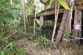 Property photo of 39 McKees Road Palmwoods QLD 4555