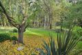 Property photo of 62 Goudiesdale Road Selby VIC 3159