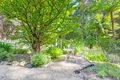 Property photo of 21 Kinabalu Drive Tamborine Mountain QLD 4272