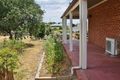 Property photo of 5 Umbra Street Wagin WA 6315