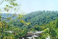 Property photo of 18 Summerhaze Place Hornsby Heights NSW 2077