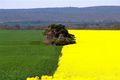 Property photo of 8 Mill Lane Rosedale VIC 3847