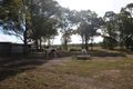 Property photo of 60 Simmos Road Takura QLD 4655