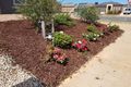 Property photo of 2 Horan Way Weir Views VIC 3338