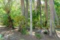 Property photo of 15 Merval Court Mons QLD 4556