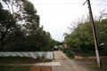Property photo of 12 Richard Avenue Mitchell Park SA 5043