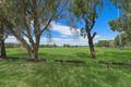 Property photo of 76 Melaleuca Drive Palm Beach QLD 4221