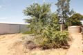 Property photo of 45 Wodonga Avenue Loxton SA 5333