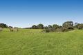 Property photo of 260 Potts Road Skye VIC 3977
