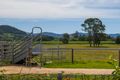 Property photo of 14 Tamarisk Avenue Murwillumbah NSW 2484