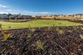 Property photo of 20 Astelia Road Beeliar WA 6164