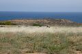 Property photo of 10 Browne Boulevard Kalbarri WA 6536