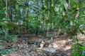 Property photo of 9 Barringtonia Close Redlynch QLD 4870