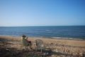 Property photo of 71 The Esplanade Toolakea QLD 4818