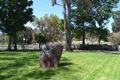 Property photo of 36 Bolwarra Road Bolwarra NSW 2320