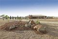 Property photo of 75 Darlington Drive Anakie VIC 3213