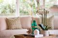 Property photo of 17 Hamilton Parade Pymble NSW 2073