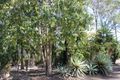 Property photo of 14 Sandpiper Drive Regency Downs QLD 4341