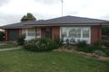 Property photo of 7 Hill Avenue Keith SA 5267
