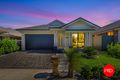 Property photo of 11 Olive Hill Drive Cobbitty NSW 2570