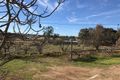 Property photo of 9 Virgo Road Murray Bridge SA 5253