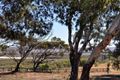 Property photo of 4 Whiting Parade Port Augusta SA 5700