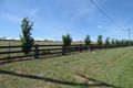 Property photo of 102 Allan Cunningham Road Scone NSW 2337