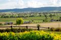 Property photo of 102 Allan Cunningham Road Scone NSW 2337