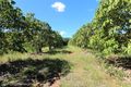 Property photo of 72 Golcherts Road Horton QLD 4660