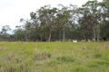 Property photo of 866 Riley Road Koumala QLD 4738