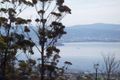 Property photo of 1 Correa Place Tolmans Hill TAS 7007