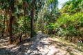 Property photo of 20 Livistona Court South Stradbroke QLD 4216