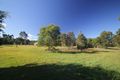 Property photo of 12 Eucalypt Way Cootharaba QLD 4565