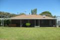 Property photo of 19 Morris Street Loveday SA 5345