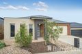 Property photo of 64 Kelpie Boulevard Curlewis VIC 3222