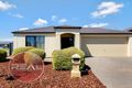 Property photo of 1 Melaleuca Street Munno Para West SA 5115