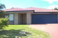 Property photo of 44 Storr Circuit Goodna QLD 4300