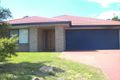 Property photo of 44 Storr Circuit Goodna QLD 4300