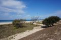 Property photo of 3/293 Golden Four Drive Bilinga QLD 4225