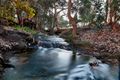Property photo of 20 Evergreen Grove Forrestfield WA 6058