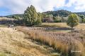 Property photo of 329 Top Swamp Road Lachlan TAS 7140