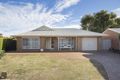 Property photo of 12 Jameson Court Greenwith SA 5125