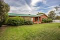 Property photo of 29-31 Boundary Road Narrandera NSW 2700
