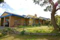 Property photo of 12 Casino Court Torquay VIC 3228