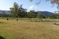 Property photo of 1/262 Pumpenbil Road Pumpenbil NSW 2484