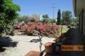 Property photo of 1 Wilkinson Street Sea Lake VIC 3533