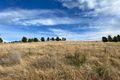 Property photo of LOT 23 Lindsay Thomas Road Parkes NSW 2870