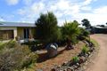 Property photo of 4863 Olympic Highway Cootamundra NSW 2590