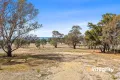 Property photo of 18 Bainbridge Way Alexandra VIC 3714