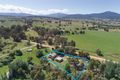 Property photo of 389 Buttercup Road Merrijig VIC 3723